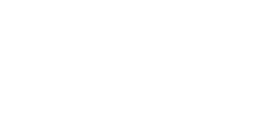 Biman Logo