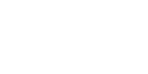 Emirates Logo