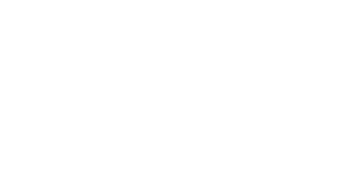 Flynas Logo
