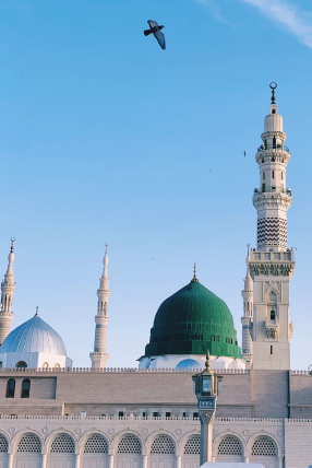 A Glimpse into the Daily Routine of the Messenger Sallallahu Alaihi Wasallam