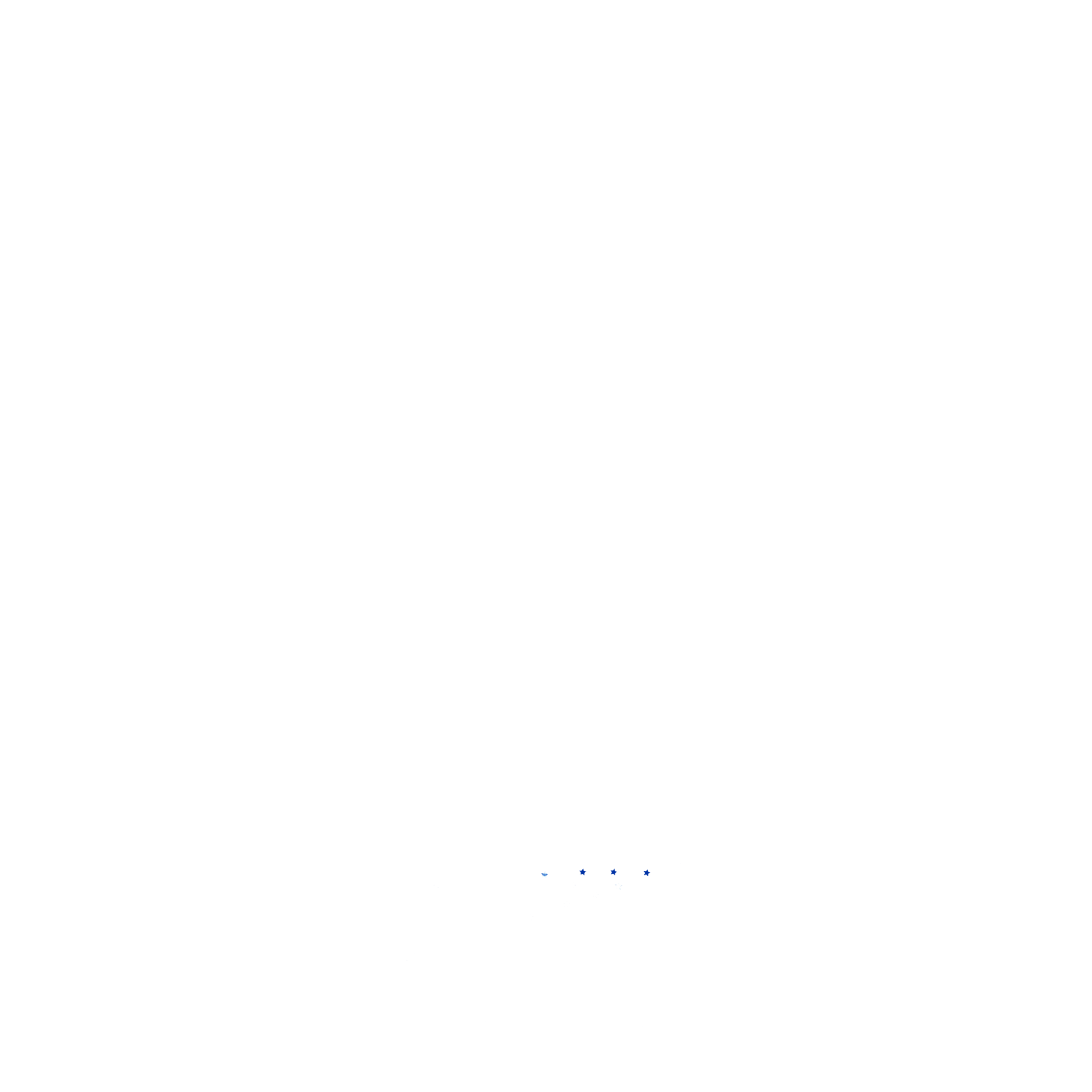 Partner Airlines Logos