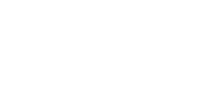 KSA Visa Logo